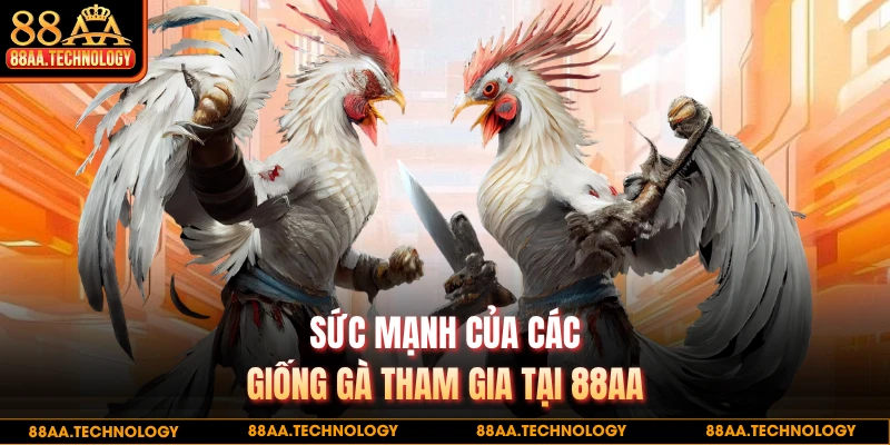 Sức mạnh của các giống gà tham gia tại 88AA