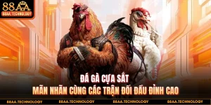Đá gà cựa sắt