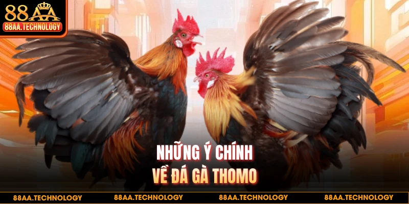 Những ý chính về đá gà Thomo